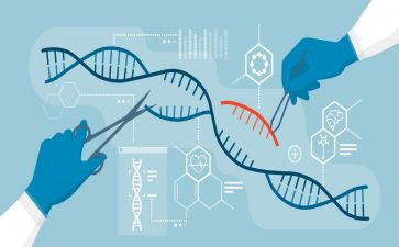 生物教师工作计划3篇