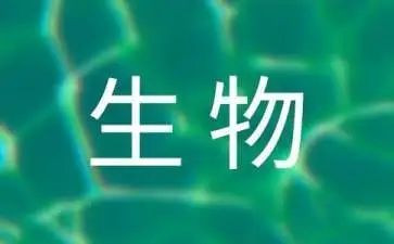 高中生物教师工作计划6篇