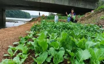 超市蔬菜采购合同样本9篇