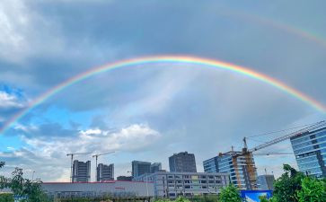 大班语言《彩虹的尽头》2篇