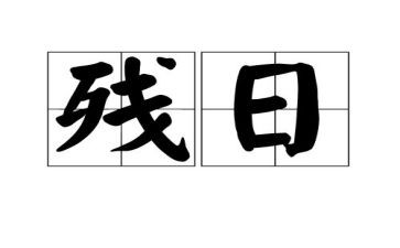 助残日活动阳光行动主题讲话稿6篇