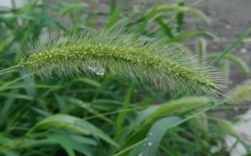 读《草船借箭》有感8篇