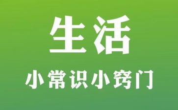 个人基本礼仪7篇