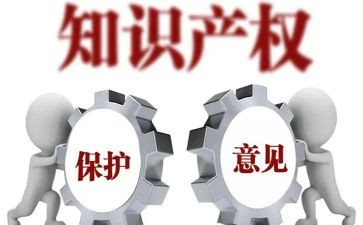 学习知识产权心得体会8篇