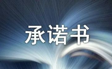 企业安全生产承诺书范文4篇