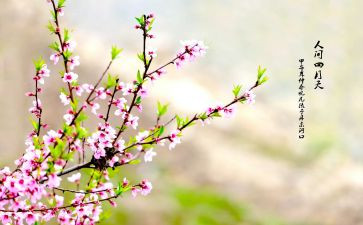 高中生教师节精彩演讲稿4篇