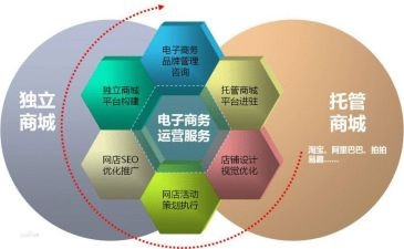 最新电商规章制度5篇