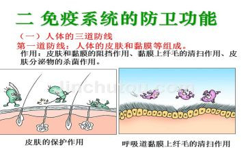 网络安全优秀讲话稿8篇