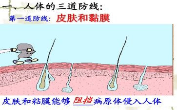 消防安全宣传讲话稿3篇