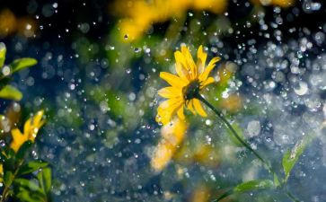 《暴风雨》教案7篇