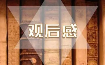 交通安全课观后感5篇