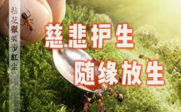 2023消防工作计划范文11篇