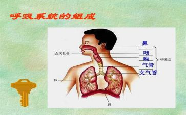 中医院实习心得体会3篇