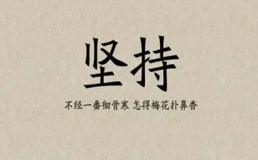 物业品质部年终工作总结3篇