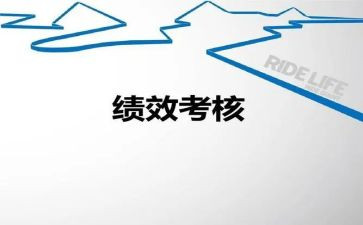 税务绩效自查报告8篇