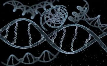 《基因控制生物的性状》教学反思5篇