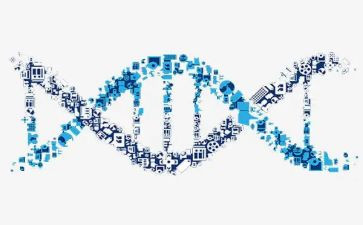 学雷锋活动方案2篇