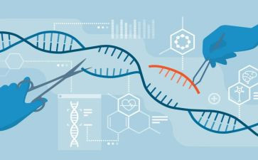 《每个孩子都能成功》读书心得体会4篇