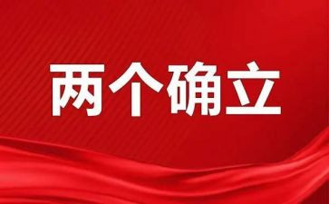 “两个确立”主题教育征文实用3篇