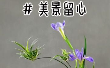 教师辞职申请书2篇