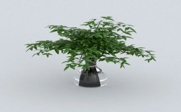 植树活动策划7篇