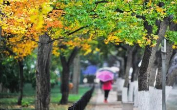 《朝花夕拾》读书心得体会启迪朝花夕拾读书心得感悟4篇