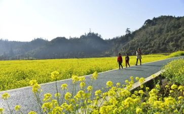 《朝花夕拾》读书心得体会启迪朝花夕拾读书心得感悟3篇