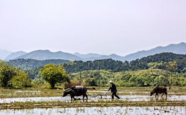 办公室人员年终工作总结5篇