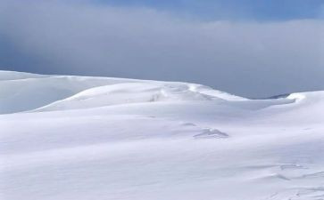 写雪的作文合集4篇