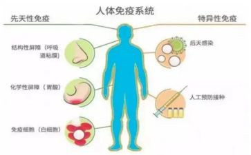 计划免疫工作总结8篇