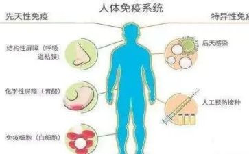 免疫工作计划范文3篇