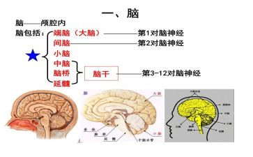 电脑上如何设置wifi4篇