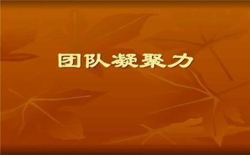 村委会年度工作总结7篇