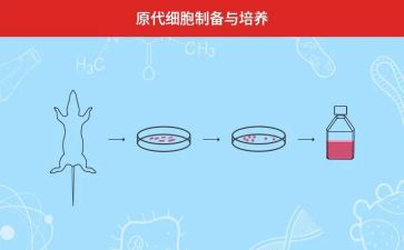 保险新人培训心得体会3篇