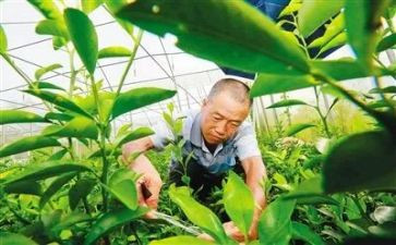 保育员中班学期末总结范文13篇