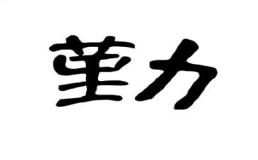 保险内勤年终工作总结6篇