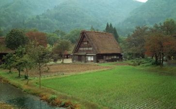 日本留学申请书8篇