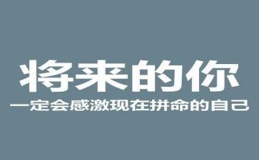 职场新人生存法则8篇