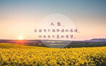 美术教师个人教学计划4篇