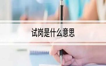 试用期岗位述职报告8篇