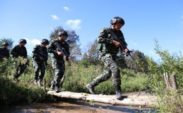 信息技术学习计划8篇