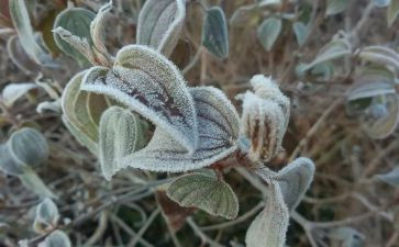 霜降节气问候语6篇