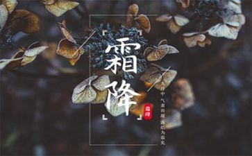 霜降温馨问候语3篇