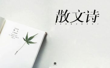 生命抒情散文关于生命的抒情散文5篇