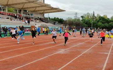 小学田径运动会活动方案7篇