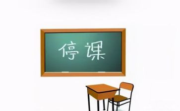 职业学校停学不停课方案3篇