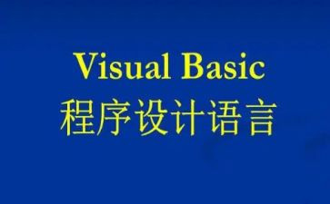 vbse实训心得体会6篇