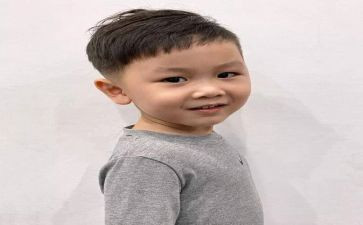 幼儿园大班语言教案：城里来了大恐龙2篇