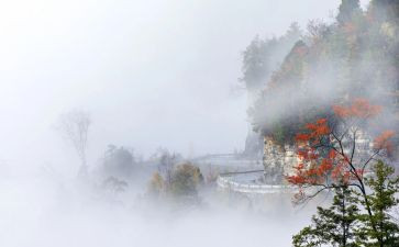 雾霾建议书8篇