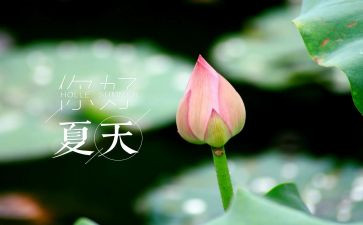 有关夏令营活动方案范文集锦3篇